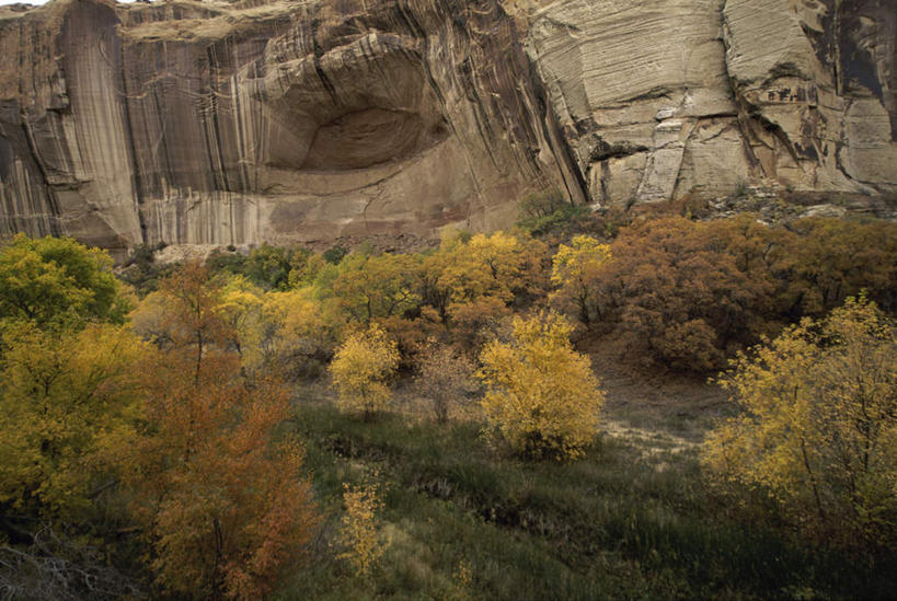 无人,横图,室外,白天,正面,旅游,度假,石头,美景,山,山脉,树林,植物,美国,石子,景观,山峰,山峦,娱乐,树,树木,绿色,自然,群山,享受,休闲,景色,放松,生长,成长,北美,北美洲,犹他州,自然风光,美洲,北亚美利加洲,亚美利加洲,犹他,蜂窝之州,蜂房州,大阶梯国家纪念碑,大楼梯国家纪念碑,石块,岩石,彩图