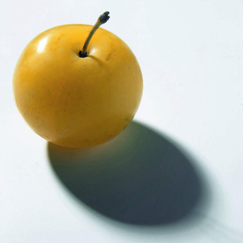 无人,横图,俯视,室内,特写,白天,白色背景,水果,阴影,新鲜,反射,影子,生食,食品,果实,酸梅,食物,一个,黄色,青梅,摄影,有机食品,绿色食品,影棚,单个,梅子,果梅,彩图,高角度拍摄,影棚拍摄,拍摄