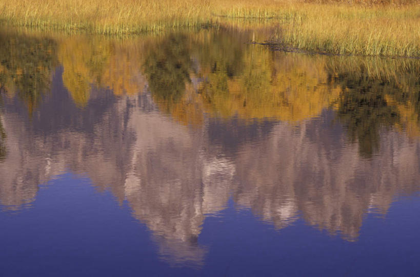 无人,公园,横图,室外,白天,正面,旅游,度假,河流,美景,水,植物,美国,阴影,波纹,枯萎,光线,影子,河水,景观,水流,枯草,涟漪,娱乐,草,黄色,倒影,水纹,阳光,自然,波浪,享受,休闲,景色,放松,倒映,北美,北美洲,国家公园,自然风光,美洲,怀俄明州,怀俄明,蛇河,大提顿国家公园,水晕,北亚美利加洲,亚美利加洲,平等之州,大蒂顿国家公园,大堤顿国家公园,大提顿公园,反照,彩图