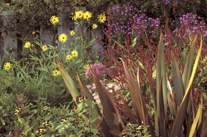 无人,花园,横图,室外,白天,正面,旅游,度假,花海,花圃,美景,植物,叶子,盛开,景观,花蕾,娱乐,花瓣,花朵,花卉,鲜花,绿色,自然,花丛,花束,花田,花苞,花蕊,享受,休闲,景色,放松,自然风光,小花园,彩图,阳光花