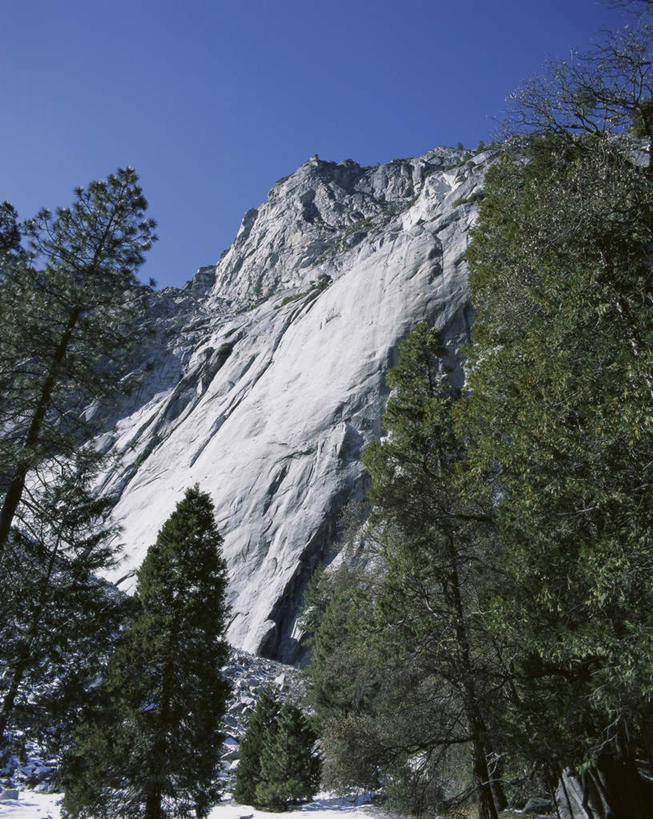 无人,公园,竖图,室外,白天,仰视,旅游,度假,石头,美景,山,山脉,植物,美国,阴影,光线,石子,影子,景观,山峰,山峦,娱乐,树,树木,蓝色,绿色,蓝天,天空,阳光,自然,群山,天,享受,休闲,景色,放松,生长,晴朗,成长,北美,北美洲,国家公园,加利福尼亚,自然风光,约塞米蒂国家公园,美洲,加州,加利福尼亚州,万里无云,优胜美地国家公园,金州,黄金州,北亚美利加洲,亚美利加洲,美国尤塞米提国家公园,优山美地,约瑟米提国家公园,石块,岩石,晴空,晴空万里,彩图,低角度拍摄