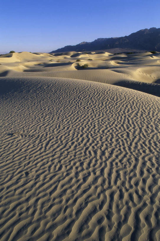 无人,公园,竖图,室外,白天,正面,旅游,度假,美景,沙漠,美国,阴影,光线,纹路,纹理,影子,景观,娱乐,蓝色,蓝天,天空,阳光,自然,天,享受,休闲,景色,放松,晴朗,北美,北美洲,国家公园,加利福尼亚,自然风光,美洲,加州,死亡谷国家公园,加利福尼亚州,万里无云,金州,黄金州,肌理,北亚美利加洲,亚美利加洲,死谷,死谷国家公园,大漠,砂漠,晴空,晴空万里,彩图