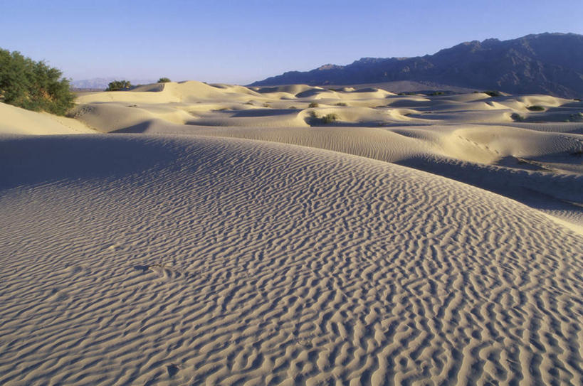 无人,公园,横图,室外,白天,正面,旅游,度假,草地,草坪,美景,沙漠,植物,美国,阴影,光线,纹路,纹理,影子,景观,娱乐,草,蓝色,绿色,蓝天,天空,阳光,自然,天,享受,休闲,景色,放松,晴朗,北美,北美洲,国家公园,加利福尼亚,自然风光,美洲,加州,死亡谷国家公园,加利福尼亚州,万里无云,金州,黄金州,肌理,北亚美利加洲,亚美利加洲,死谷,死谷国家公园,大漠,砂漠,晴空,晴空万里,彩图