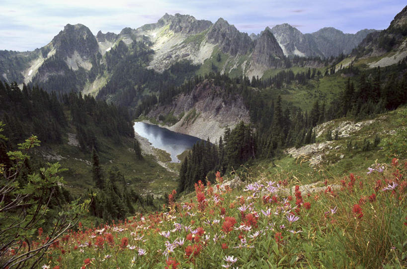 无人,横图,俯视,室外,白天,旅游,度假,草地,草坪,花海,花圃,火山,石头,美景,山,山脉,植物,叶子,华盛顿,美国,阴影,盛开,光线,石子,影子,景观,山顶,山峰,云,云朵,山峦,花蕾,云彩,娱乐,草,花,花瓣,花朵,花卉,鲜花,树,树木,蓝色,绿色,白云,蓝天,天空,阳光,自然,花丛,花束,花田,群山,天,花苞,花蕊,享受,休闲,景色,放松,生长,晴朗,成长,北美,北美洲,自然风光,美洲,华盛顿州,西雅图,雷尼尔山,雷尼尔山国家公园,瑞尼尔山国家公园,常绿之州,常青州,北亚美利加洲,亚美利加洲,绿宝石城,翡翠之城,雨城,常绿之城,阿拉斯加门户,女王之城,喷气机之城,常青城,颠峰,极峰,瑞尼尔山,活火山,石块,岩石,晴空,彩图,高角度拍摄