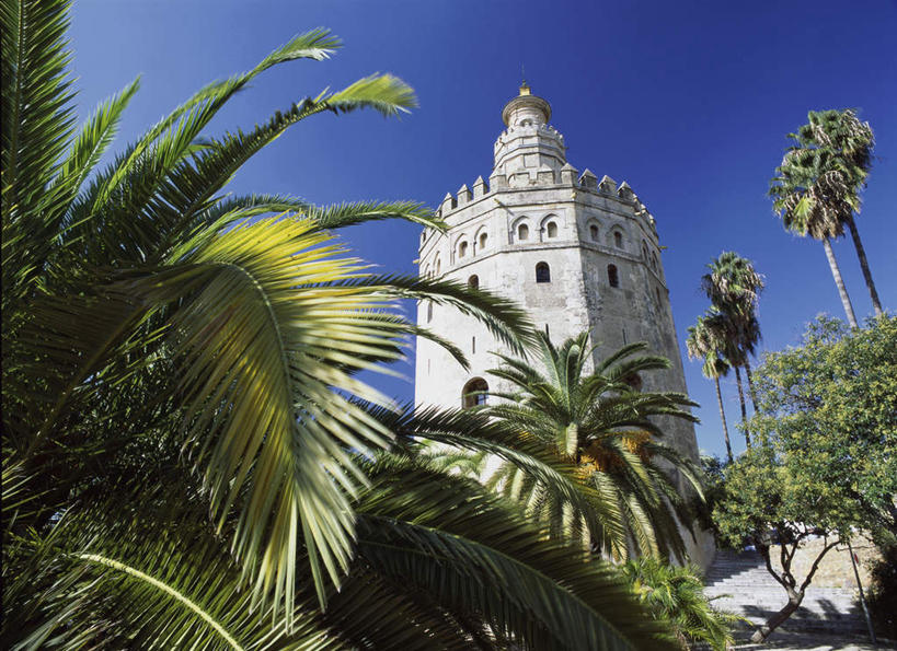 无人,博物馆,横图,室外,白天,仰视,旅游,度假,植物,标志建筑,地标,建筑,棕榈树,叶子,西班牙,欧洲,阴影,研究,光线,影子,绿叶,教育,娱乐,建设,安达卢西亚,塞维利亚,树,树木,蓝色,绿色,蓝天,天空,阳光,自然,天,享受,休闲,嫩叶,旅游胜地,放松,生长,晴朗,成长,展览,南欧,欣赏,安达鲁西亚,陈列,棕榈叶,万里无云,首府,西班牙王国,安达卢西亚自治区,典藏,叶,叶片,晴空,晴空万里,彩图,低角度拍摄