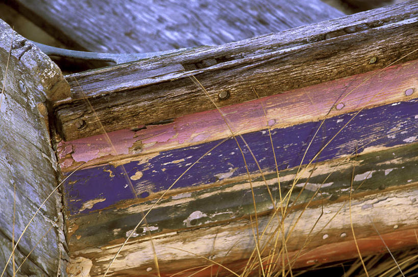 无人,横图,俯视,室外,特写,白天,植物,船,一艘,枯萎,朦胧,模糊,木制,木船,枯草,草,黄色,木制品,交通工具,舟,载具,彩图,高角度拍摄