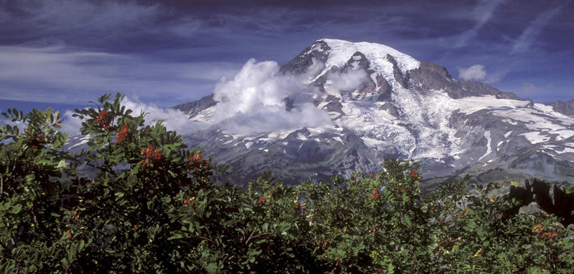 无人,横图,室外,白天,正面,旅游,度假,火山,石头,美景,山,雪,雪山,植物,大雪,华盛顿,美国,阴影,盛开,光线,石子,影子,冰,积雪,景观,山顶,山峰,雪景,云,云朵,冬季,冬天,山峦,花蕾,云彩,娱乐,花,花瓣,花朵,鲜花,树,树木,蓝色,绿色,白云,蓝天,天空,阳光,自然,天,花苞,花蕊,享受,休闲,景色,放松,寒冷,生长,晴朗,成长,冰冷,北美,北美洲,自然风光,美洲,华盛顿州,西雅图,雷尼尔山,雷尼尔山国家公园,瑞尼尔山国家公园,常绿之州,常青州,北亚美利加洲,亚美利加洲,严寒,冰凉,酷寒,凛冽,凛凛,极冷,绿宝石城,翡翠之城,雨城,常绿之城,阿拉斯加门户,女王之城,喷气机之城,常青城,颠峰,极峰,瑞尼尔山,活火山,石块,岩石,晴空,彩图