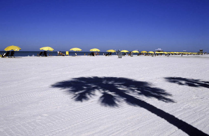 西方人,站,坐,横图,室外,白天,正面,旅游,度假,海浪,海洋,美景,沙滩,植物,棕榈树,叶子,欧洲,美国,欧洲人,一排,行人,游客,游人,阴影,服装,整齐,光线,伞,沙子,影子,雨伞,遮阳伞,海岸,景观,浪花,绿叶,沙地,许多人,娱乐,阳伞,路人,旅客,树,树木,排列,衣服,蓝色,绿色,蓝天,天空,阳光,自然,海水,天,站着,一群人,享受,休闲,嫩叶,景色,放松,服饰,生长,晴朗,成长,北美,太阳伞,北美洲,衣着,穿着,队列,自然风光,美洲,海景,棕榈叶,佛罗里达,佛罗里达州,佛州,阳光州,万里无云,北亚美利加洲,亚美利加洲,衣饰,过客,克利尔沃特,皮尼拉斯县,男人,男性,年轻男性,年轻女性,女人,女性,白种人,叶,叶片,大海,风浪,海,海水的波动,海滩,近岸浪,涌浪,晴空,晴空万里,站立,坐着,彩图,全身