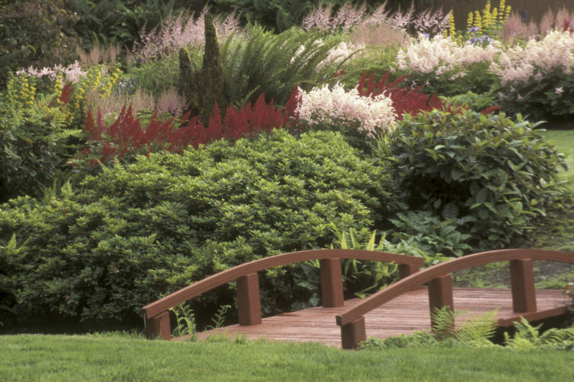 无人,栏杆,横图,室外,白天,正面,旅游,度假,草地,草坪,美景,植物,华盛顿,美国,盛开,木板,景观,围栏,桥,木桥,花蕾,娱乐,护栏,栈桥,草,花,花瓣,花朵,鲜花,树,树木,绿色,自然,花苞,花蕊,享受,休闲,景色,放松,生长,成长,人行桥,木板桥,北美,北美洲,自然风光,美洲,华盛顿州,常绿之州,常青州,北亚美利加洲,亚美利加洲,布雷默顿,布雷默顿港,布雷莫顿,彩图