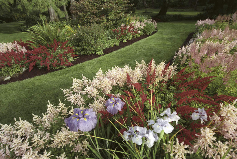 无人,横图,俯视,室外,白天,旅游,度假,草地,草坪,美景,植物,华盛顿,美国,盛开,景观,花蕾,娱乐,草,花,花瓣,花朵,鲜花,树,树木,绿色,自然,花苞,花蕊,享受,休闲,景色,放松,生长,成长,北美,北美洲,自然风光,美洲,华盛顿州,常绿之州,常青州,北亚美利加洲,亚美利加洲,布雷默顿,布雷默顿港,布雷莫顿,彩图,高角度拍摄