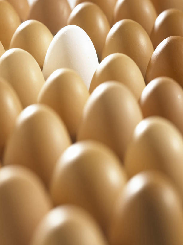 无人,竖图,俯视,室内,特写,白天,餐桌,桌子,一排,许多,阴影,朦胧,模糊,整齐,并列,并排,反射,影子,蛋,鸡蛋,很多,排列,白色,摄影,影棚,餐台,队列,平行,草鸡蛋,卵,差别,差异,彩图,高角度拍摄,影棚拍摄,拍摄,不同