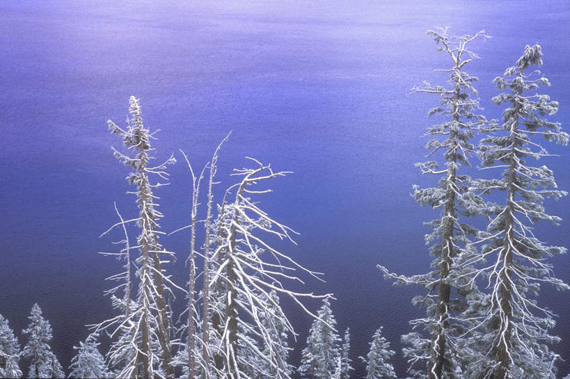 无人,横图,俯视,室外,白天,旅游,度假,湖,湖泊,美景,树林,水,雪,植物,大雪,松树,波纹,湖面,积雪,景观,水流,水面,雪景,冬季,冬天,涟漪,娱乐,树,树木,绿色,水纹,自然,波浪,湖水,享受,休闲,景色,放松,寒冷,生长,成长,自然风光,坚定,水晕,长寿,严寒,贞洁,彩图,高角度拍摄