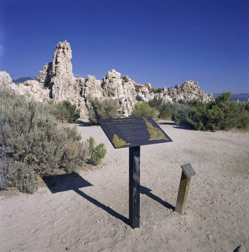 无人,竖图,室外,白天,正面,旅游,度假,湖,湖泊,石头,美景,水,植物,美国,阴影,光线,石子,影子,湖面,景观,水流,水面,娱乐,树,树木,蓝色,绿色,蓝天,天空,阳光,自然,湖水,天,享受,休闲,景色,放松,生长,晴朗,成长,北美,北美洲,加利福尼亚,自然风光,美洲,加州,沉积岩,加利福尼亚州,万里无云,金州,黄金州,北亚美利加洲,亚美利加洲,莫诺湖,水成岩,石块,岩石,晴空,晴空万里,彩图