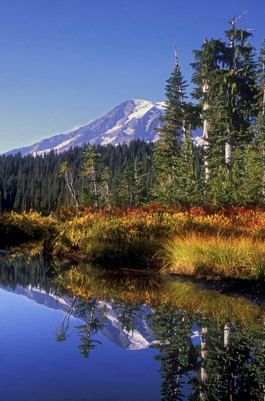 无人,竖图,室外,白天,正面,旅游,度假,湖,湖泊,火山,石头,美景,森林,山,树林,水,雪,雪山,植物,大雪,华盛顿,美国,阴影,波纹,枯萎,光线,石子,影子,冰,湖面,积雪,景观,山峰,水流,水面,雪景,冬季,冬天,枯草,涟漪,山峦,娱乐,草,树,树木,黄色,蓝色,绿色,倒影,蓝天,水纹,天空,阳光,自然,波浪,湖水,天,享受,休闲,景色,放松,寒冷,生长,晴朗,成长,冰冷,倒映,北美,北美洲,自然风光,美洲,华盛顿州,西雅图,雷尼尔山,雷尼尔山国家公园,万里无云,瑞尼尔山国家公园,水晕,常绿之州,常青州,北亚美利加洲,亚美利加洲,严寒,冰凉,酷寒,凛冽,凛凛,极冷,绿宝石城,翡翠之城,雨城,常绿之城,阿拉斯加门户,女王之城,喷气机之城,常青城,反照,瑞尼尔山,活火山,石块,岩石,晴空,晴空万里,彩图