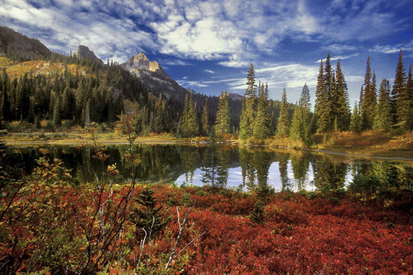 无人,横图,室外,白天,正面,旅游,度假,草地,草坪,花海,花圃,火山,河流,石头,美景,森林,山,山脉,树林,水,植物,叶子,华盛顿,美国,阴影,盛开,光线,石子,影子,河水,景观,山峰,水流,云,云朵,山峦,花蕾,云彩,娱乐,草,花,花瓣,花朵,花卉,鲜花,树,树木,红色,蓝色,绿色,白云,蓝天,天空,阳光,自然,花丛,花束,花田,群山,天,花苞,花蕊,享受,休闲,景色,放松,生长,晴朗,成长,北美,北美洲,自然风光,美洲,华盛顿州,西雅图,雷尼尔山,雷尼尔山国家公园,瑞尼尔山国家公园,常绿之州,常青州,北亚美利加洲,亚美利加洲,绿宝石城,翡翠之城,雨城,常绿之城,阿拉斯加门户,女王之城,喷气机之城,常青城,瑞尼尔山,活火山,石块,岩石,晴空,彩图
