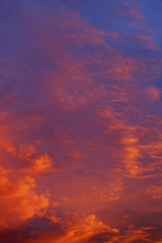 无人,竖图,室外,特写,白天,仰视,美景,日落,阴影,光线,影子,景观,晚霞,霞光,落日,阳光,自然,黄昏,景色,彩霞,自然风光,夕照,夕阳,彩图,低角度拍摄,斜阳