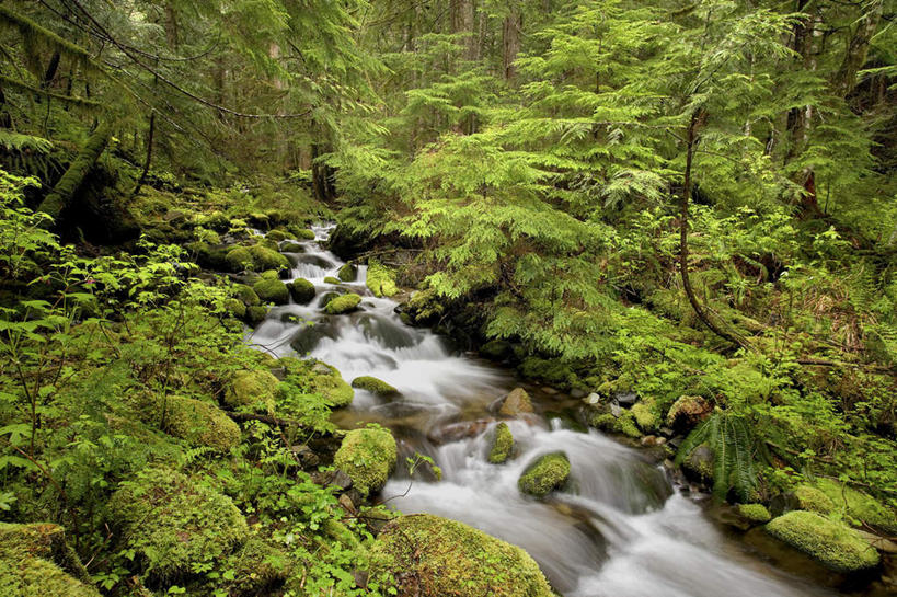 无人,横图,室外,白天,正面,旅游,度假,河流,石头,美景,森林,山,山脉,树林,水,植物,美国,朦胧,模糊,石子,河水,景观,山峰,水流,山峦,娱乐,树,树木,绿色,小溪,自然,群山,溪水,享受,休闲,景色,放松,生长,成长,北美,北美洲,自然风光,美洲,俄勒冈州,沉积岩,俄勒冈,北亚美利加洲,亚美利加洲,落日之州,水獭之州,海狸州,水成岩,胡德山,石块,岩石,彩图