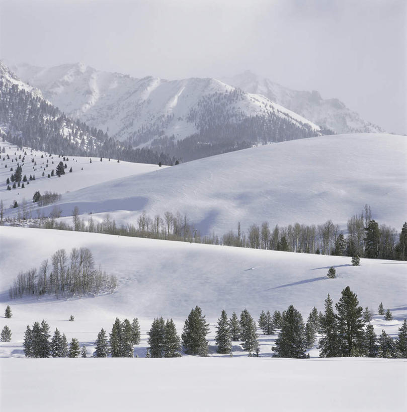 无人,竖图,室外,白天,正面,旅游,度假,美景,山,树林,雪,雪山,植物,大雪,城市,美国,冰,积雪,景观,山峰,雪景,冬季,冬天,山峦,娱乐,树,树木,绿色,自然,享受,休闲,景色,放松,寒冷,生长,成长,冰冷,北美,北美洲,自然风光,美洲,爱达荷州,北亚美利加洲,亚美利加洲,严寒,冰凉,酷寒,凛冽,凛凛,极冷,爱达荷,爱达华州,宝石之州,宝石州,太阳谷,森瓦利,谷峰会,彩图