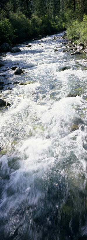 无人,竖图,俯视,室外,白天,旅游,度假,河流,美景,森林,山,山脉,树林,水,植物,美国,阴影,光线,影子,河水,景观,山峰,水流,山峦,娱乐,树,树木,绿色,小溪,阳光,自然,群山,溪水,享受,休闲,景色,放松,生长,成长,北美,北美洲,自然风光,美洲,爱达荷州,北亚美利加洲,亚美利加洲,爱达荷,爱达华州,宝石之州,宝石州,彩图,高角度拍摄