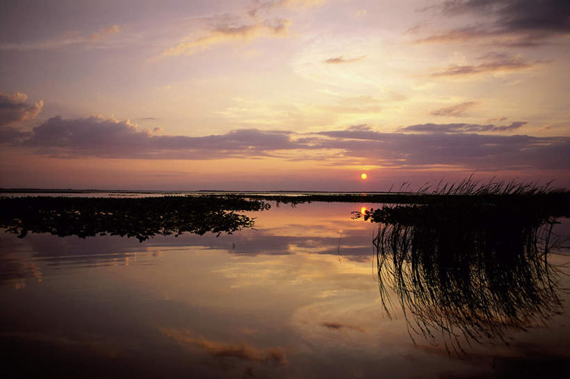无人,横图,室外,白天,正面,旅游,度假,草地,草坪,湖,湖泊,美景,日落,水,植物,巴西,湖面,景观,水流,水面,晚霞,霞光,云,云朵,落日,背光,云彩,娱乐,草,绿色,白云,倒影,自然,黄昏,湖水,享受,休闲,景色,彩霞,南美,放松,湿地,南美洲,倒映,拉丁美洲,自然风光,美洲,逆光,巴西联邦共和国,亚美利加洲,南亚美利加洲,潘塔纳尔湿地,马托格罗索州,夕照,反照,夕阳,彩图,斜阳