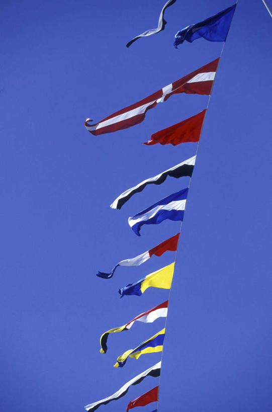 无人,竖图,室外,特写,白天,仰视,美景,旗帜,国旗,一排,许多,阴影,整齐,飘扬,光线,影子,景观,排列,蓝色,蓝天,天空,阳光,自然,天,景色,晴朗,飘逸,队列,自然风光,飞扬,法国国旗,万里无云,旗,晴空,晴空万里,彩图,低角度拍摄,三色旗,阿根廷国旗