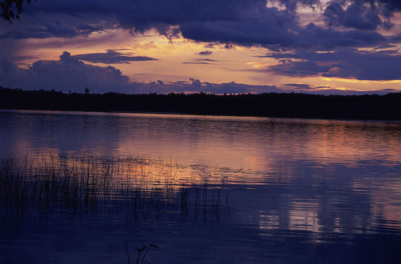 无人,横图,室外,白天,正面,旅游,度假,湖,湖泊,美景,日落,水,植物,巴西,湖面,景观,水流,水面,晚霞,霞光,落日,娱乐,树,树木,绿色,倒影,自然,黄昏,湖水,享受,休闲,景色,彩霞,南美,放松,湿地,生长,成长,南美洲,倒映,拉丁美洲,自然风光,美洲,巴西联邦共和国,亚美利加洲,南亚美利加洲,潘塔纳尔湿地,马托格罗索州,夕照,反照,夕阳,彩图,斜阳