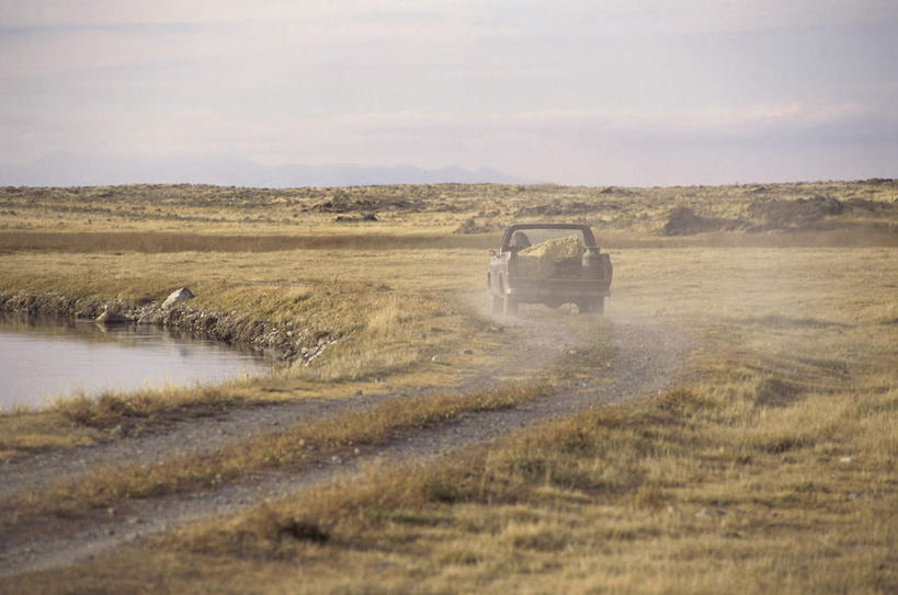 西方人,一个人,坐,横图,室外,白天,正面,旅游,度假,美景,植物,卡车,汽车,欧洲,欧洲人,仅一个男性,仅一个人,仅一个中年男性,一辆,握,服装,枯萎,地平线,景观,乌云,云,阴天,云朵,辽阔,枯草,地面,云彩,尘埃,休闲装,娱乐,车,草,衣服,黄色,天空,自然,交通工具,天,驾驶,行驶,享受,休闲,广阔,休闲服,景色,放松,握着,服饰,一望无际,操纵,灰尘,尘土,控制,昏暗,阴沉,自然风光,载具,飞扬,延伸,操控,天地相交,把持,无边无际,一马平川,飞腾,男人,男性,中年男性,白种人,坐着,彩图,全身