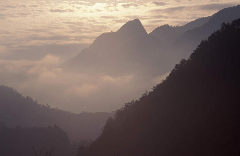 无人,横图,室外,白天,正面,旅游,度假,美景,日落,山,山脉,树林,植物,雾,台湾,中国,亚洲,朦胧,模糊,景观,山峰,晚霞,霞光,落日,山峦,背光,娱乐,树,树木,绿色,自然,黄昏,群山,享受,休闲,景色,彩霞,放松,生长,成长,迷雾,自然风光,逆光,东亚,骊山,港澳台,中华人民共和国,台湾省,夕照,大雾,夕阳,彩图,斜阳,台