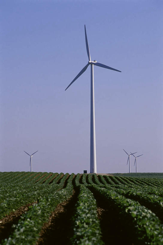 无人,农田,竖图,室外,白天,正面,旅游,度假,农业,庄稼,农作物,风能,风力发电机,美景,风车,美国,阴影,环保,电力,光线,影子,景观,娱乐,设备,蓝色,蓝天,天空,阳光,自然,天,享受,休闲,发电,机械,景色,放松,工业,能源,晴朗,资源,北美,北美洲,风力机,自然风光,美洲,利用,低碳,万里无云,北亚美利加洲,亚美利加洲,爱荷华州,艾奥瓦,艾奥瓦州,爱我华州,衣阿华州,鹰眼州,美国粮仓,风力发电,晴空,晴空万里,彩图,耕地,庄稼田