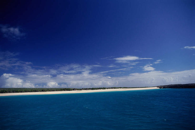 无人,横图,室外,白天,正面,旅游,度假,岛屿,海浪,海洋,美景,沙滩,植物,棕榈树,叶子,阴影,光线,沙子,影子,岛,海岸,景观,浪花,云,云朵,绿叶,沙地,云彩,娱乐,树,树木,蓝色,绿色,白云,蓝天,天空,阳光,自然,海水,天,享受,休闲,嫩叶,景色,南美,放松,生长,晴朗,成长,南美洲,西印度群岛,拉丁美洲,自然风光,美洲,海景,棕榈叶,亚美利加洲,南亚美利加洲,背风群岛,叶,叶片,大海,风浪,海,海水的波动,海滩,近岸浪,列岛,群岛,涌浪,诸岛,晴空,彩图