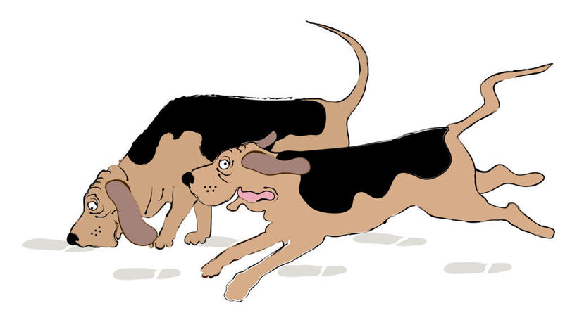 无人,横图,插画,室内,白天,白色背景,侧面,数码,科技,宠物,狗,奔驰,阴影,网络,高光,几何,计算机图形,合成,图画,注视,吐舌头,闻,画,动物,奔跑,低头,观察,看,伸舌头,两只,吐舌,可爱,观看,电脑合成图,数码合成图,察看,嗅,合成图,关注,漫画,猎狐犬,忠诚,写实,具体,具象,垂头,英国猎狐犬,犬,彩图,全身