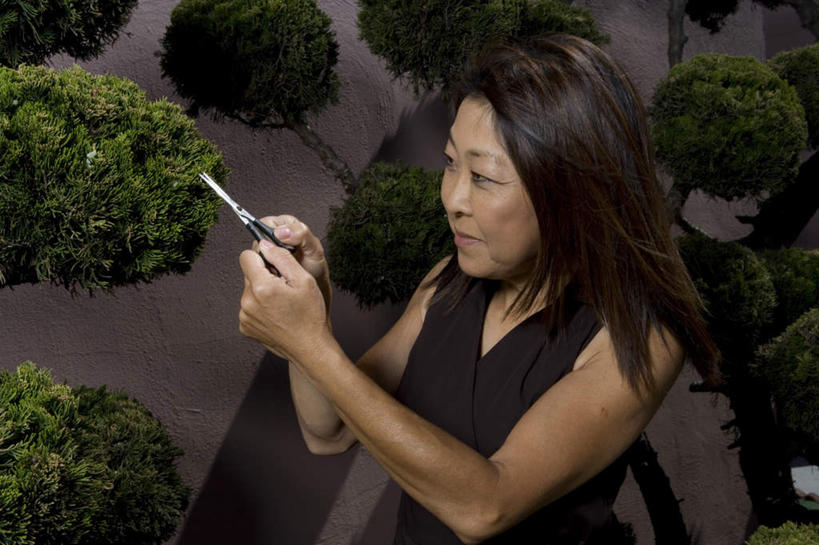 东方人,一个人,站,笑,微笑,横图,俯视,室外,白天,植物,亚洲,仅一个女性,仅一个人,握,修剪,服装,工具,剪刀,园艺工具,园艺,拿,拿着,注视,休闲装,黄种人,树,树木,衣服,绿色,自然,观察,看,站着,仅一个中年女性,休闲,休闲服,握着,服饰,生长,成长,观看,裁剪,察看,剪子,剪裁,切割,关注,篱笆剪,整篱剪,女人,女性,中年女性,亚洲人,站立,半身,彩图,高角度拍摄