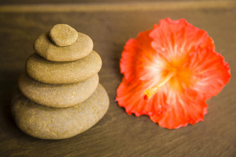 无人,横图,俯视,室内,特写,白天,书籍,一排,整齐,盛开,木槿,木槿花,美丽,花蕾,花,花瓣,花朵,鲜花,排列,一朵,红色,花苞,花蕊,堆,坚韧,队列,永恒,质朴,无穷花,书,图书,彩图,高角度拍摄