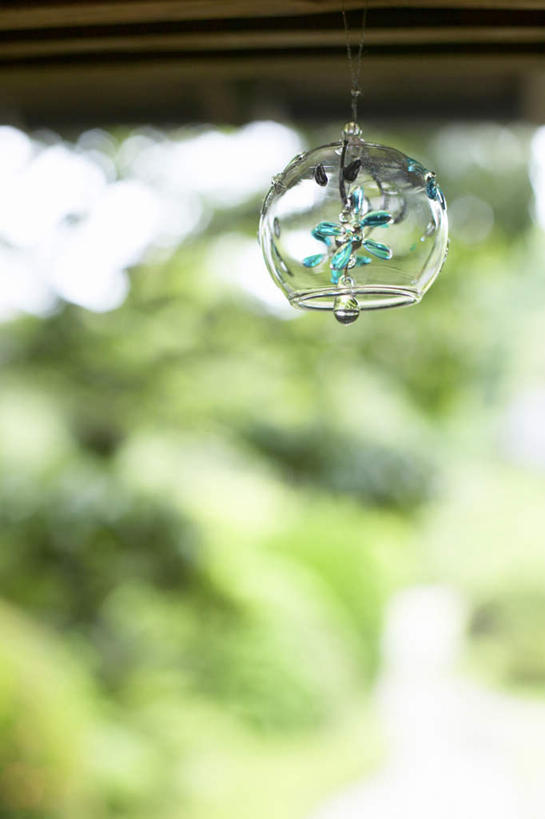 无人,竖图,室外,特写,白天,正面,幸福,运气,植物,风铃,阴影,朦胧,模糊,光线,影子,树,树木,一个,绿色,阳光,自然,祈祷,祈福,警示,许愿,生长,单个,成长,祈求,吉祥,平和,问候,警惕,思念,想念,玉振,幸运,占风铎,彩图