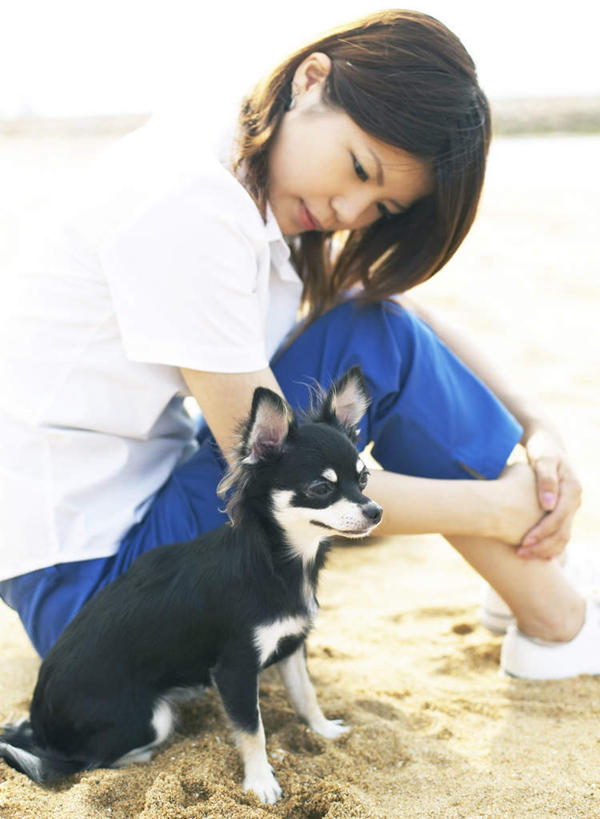 东方人,一个人,坐,竖图,室内,白天,侧面,沙滩,宠物,狗,亚洲,仅一个年轻女性,仅一个女性,仅一个人,阴影,服装,光线,沙子,影子,海岸,沙地,注视,休闲装,黄种人,一只,衣服,蓝色,白色,天空,阳光,动物,天,低头,观察,看,休闲,休闲服,可爱,服饰,抱膝,观看,察看,关注,忠诚,年轻女性,女人,女性,亚洲人,海滩,屈膝,犬,坐着,半身,彩图