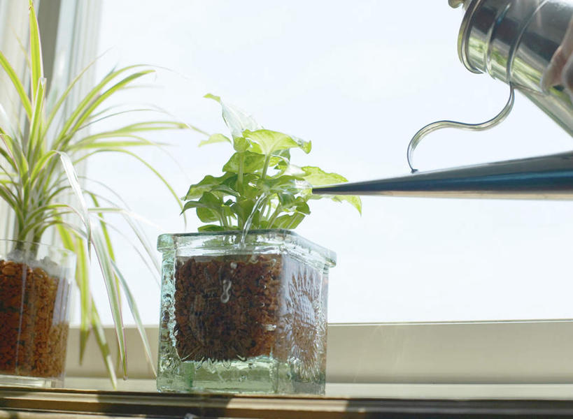 无人,横图,室内,特写,白天,正面,植物,窗户,桌面,桌子,阴影,光线,木制,壶,盆栽,影子,盆景,两盆,洒水壶,浇水,玻璃窗,水壶,绿色,阳光,自然,木制品,洒水,生长,成长,浇水壶,彩图