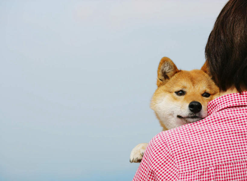 东方人,背部,一个人,站,抱,横图,室外,白天,正面,衬衫,宠物,狗,亚洲,仅一个年轻女性,仅一个女性,仅一个人,方格,格子,黄种人,一只,黄色,红色,蓝色,黑色,蓝天,天空,动物,天,站着,可爱,晴朗,抱着,秋田犬,忠诚,万里无云,日本秋田犬,年轻女性,女人,女性,亚洲人,晴空,晴空万里,犬,站立,半身,彩图,衬衣,短发