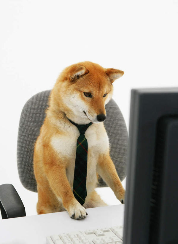 无人,办公室,坐,竖图,室内,白天,白色背景,正面,商务,电脑,显示器,鼠标,键盘,家具,桌子,宠物,狗,椅子,一把,工作,网络,办公桌,领带,注视,输入设备,通讯设备,一只,动物,会议椅,观察,看,台式电脑,可爱,搭,摄影,影棚,观看,办公椅,察看,象征,庄重,搭着,关注,通信设备,身份,输出设备,秋田犬,忠诚,办公家具,正式,地位,商务椅,培训椅,日本秋田犬,犬,坐着,半身,彩图,影棚拍摄,办公,拍摄