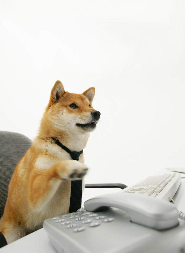 无人,办公室,坐,打电话,竖图,室内,白天,白色背景,正面,商务,键盘,家具,桌子,宠物,狗,电话,椅子,一把,工作,办公桌,注视,输入设备,通讯设备,一只,动物,话筒,会议椅,观察,看,电话线,可爱,抬脚,摄影,影棚,观看,办公椅,察看,固定电话,关注,通信设备,秋田犬,忠诚,办公家具,商务椅,培训椅,日本秋田犬,交流,电话机,犬,沟通,通话,坐着,半身,彩图,影棚拍摄,办公,拍摄