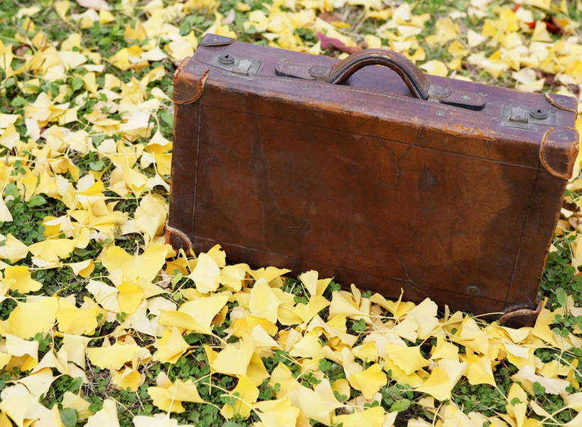 无人,横图,俯视,室外,特写,白天,草地,草坪,植物,叶子,阴影,光线,包,影子,枯叶,落叶,旅行包,草,一个,绿色,阳光,单个,旅游包,提包,叶,叶片,彩图,高角度拍摄