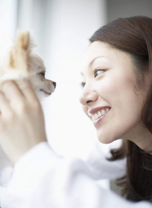 东方人,一个人,坐,笑,摸,微笑,露齿笑,竖图,室内,白天,侧面,窗户,宠物,狗,亚洲,仅一个年轻女性,仅一个女性,仅一个人,抚摸,服装,朦胧,模糊,墙,吉娃娃,注视,休闲装,黄种人,玻璃窗,相视,墙壁,墙面,一只,衣服,白色,动物,观察,看,休闲,面对面,休闲服,可爱,服饰,观看,对视,察看,互视,关注,相对,忠诚,芝娃娃,奇娃娃,相看,吉娃娃犬,齐花花,年轻女性,女人,女性,亚洲人,犬,触摸,接触,坐着,半身,彩图