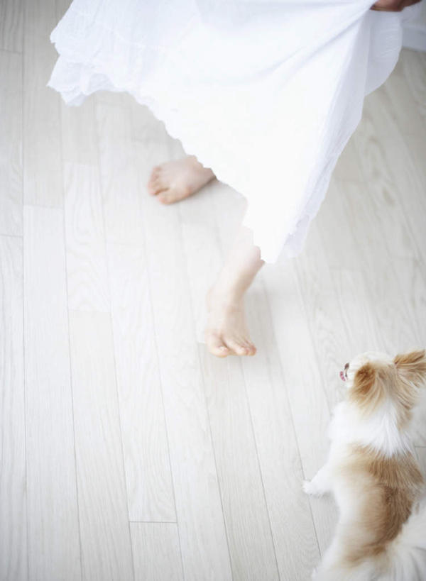 东方人,一个人,站,竖图,俯视,室内,白天,宠物,狗,亚洲,仅一个年轻女性,仅一个女性,仅一个人,服装,瓷砖,地砖,吉娃娃,地面,休闲装,黄种人,光脚,一只,衣服,白色,动物,站着,休闲,赤脚,休闲服,可爱,服饰,忠诚,芝娃娃,奇娃娃,吉娃娃犬,齐花花,年轻女性,女人,女性,亚洲人,犬,站立,半身,彩图,高角度拍摄