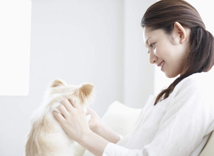 东方人,一个人,客厅,坐,抱,笑,微笑,露齿笑,横图,室内,白天,侧面,窗户,沙发,宠物,狗,亚洲,仅一个年轻女性,仅一个女性,仅一个人,服装,墙,吉娃娃,注视,休闲装,黄种人,玻璃窗,墙壁,墙面,一只,衣服,白色,动物,观察,看,休闲,休闲服,可爱,服饰,抱着,观看,察看,起居室,搂着,关注,布艺沙发,忠诚,芝娃娃,奇娃娃,吉娃娃犬,齐花花,客堂,年轻女性,女人,女性,亚洲人,犬,怀抱,搂,搂抱,相抱,拥抱,坐着,半身,彩图