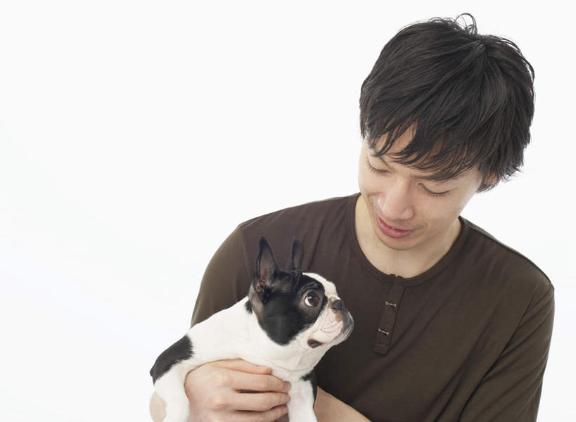 东方人,一个人,抱,横图,室内,白天,白色背景,正面,宠物,狗,亚洲,仅一个男性,仅一个人,服装,斗牛犬,注视,休闲装,黄种人,仅一个年轻男性,一只,衣服,动物,观察,看,休闲,休闲服,可爱,摄影,服饰,影棚,抱着,观看,察看,搂着,关注,牛头犬,忠诚,英国斗牛犬,斗牛狗,老虎狗,英国老虎犬,男人,男性,年轻男性,亚洲人,犬,怀抱,搂,搂抱,相抱,拥抱,半身,彩图,影棚拍摄,拍摄