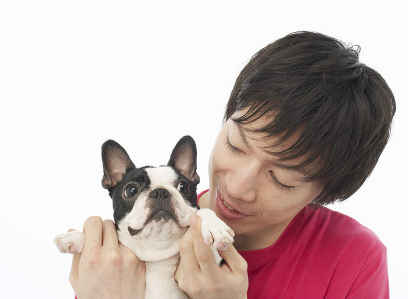 东方人,一个人,抱,笑,微笑,横图,室内,白天,白色背景,正面,宠物,狗,亚洲,仅一个男性,仅一个人,服装,斗牛犬,注视,休闲装,黄种人,仅一个年轻男性,一只,衣服,红色,动物,观察,看,休闲,休闲服,可爱,摄影,服饰,影棚,抱着,观看,察看,搂着,关注,牛头犬,忠诚,英国斗牛犬,斗牛狗,老虎狗,英国老虎犬,男人,男性,年轻男性,亚洲人,犬,怀抱,搂,搂抱,相抱,拥抱,半身,彩图,影棚拍摄,拍摄