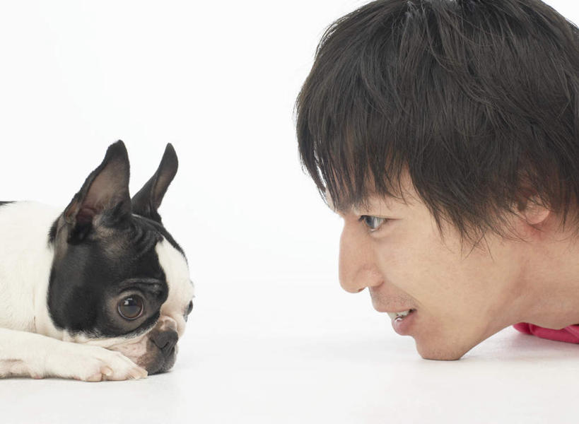 东方人,脸,头,脸颊,一个人,横图,室内,特写,白天,白色背景,侧面,宠物,狗,亚洲,仅一个男性,仅一个人,服装,斗牛犬,注视,休闲装,黄种人,相视,仅一个年轻男性,一只,衣服,红色,动物,观察,看,休闲,面对面,休闲服,可爱,摄影,服饰,影棚,观看,对视,察看,互视,关注,牛头犬,相对,忠诚,英国斗牛犬,相看,斗牛狗,老虎狗,英国老虎犬,男人,男性,年轻男性,亚洲人,头部,脸部,脸蛋,面部,犬,半身,彩图,影棚拍摄,拍摄