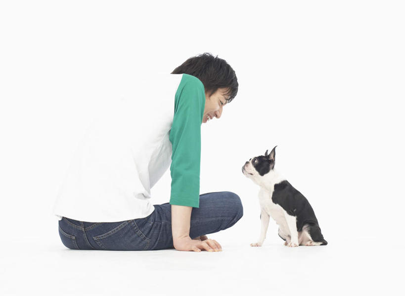 东方人,一个人,坐,盘腿,横图,室内,白天,白色背景,侧面,宠物,狗,亚洲,仅一个男性,仅一个人,撑,服装,斗牛犬,注视,休闲装,黄种人,仅一个年轻男性,一只,衣服,动物,观察,看,休闲,休闲服,可爱,摄影,服饰,影棚,观看,察看,撑着,关注,牛头犬,忠诚,英国斗牛犬,斗牛狗,老虎狗,英国老虎犬,男人,男性,年轻男性,亚洲人,犬,盘腿而坐,盘膝,盘着腿的,盘着腿坐,双腿交叉,坐着,彩图,全身,影棚拍摄,拍摄