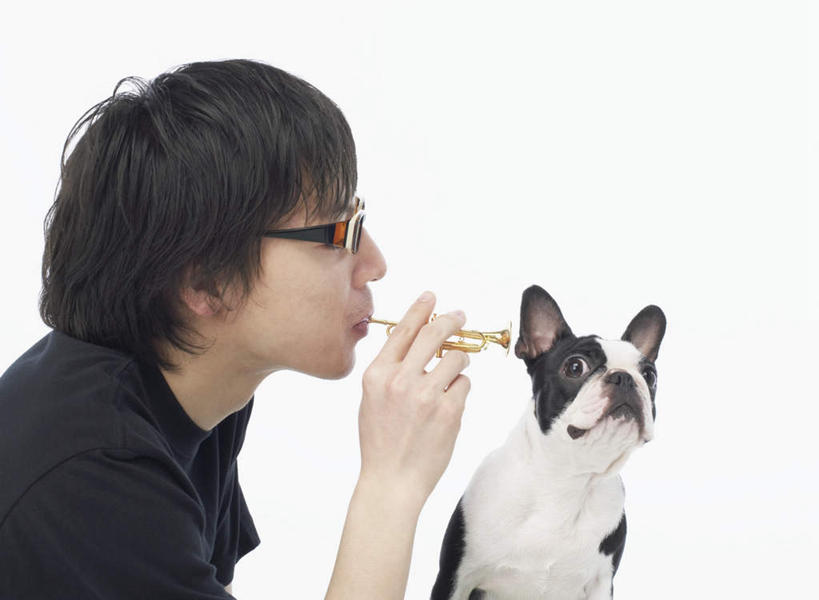 东方人,一个人,横图,室内,白天,白色背景,侧面,宠物,狗,亚洲,仅一个男性,仅一个人,握,服装,斗牛犬,眼镜,拿,拿着,注视,休闲装,黄种人,喇叭,仅一个年轻男性,一只,衣服,动物,话筒,吹,观察,看,休闲,休闲服,可爱,握着,摄影,服饰,影棚,观看,察看,关注,传声筒,牛头犬,近视眼镜,忠诚,英国斗牛犬,斗牛狗,老虎狗,英国老虎犬,男人,男性,年轻男性,亚洲人,犬,半身,彩图,影棚拍摄,拍摄