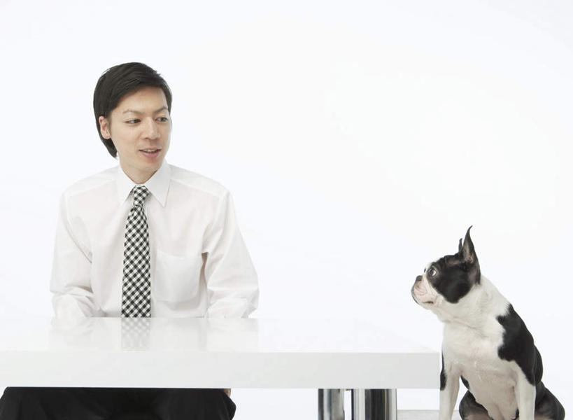 东方人,一个人,商务人士,商务男性,坐,笑,微笑,露齿笑,横图,室内,白天,白色背景,正面,衬衫,宠物,狗,亚洲,仅一个男性,仅一个人,套装,斗牛犬,领带,注视,黄种人,仅一个年轻男性,一只,动物,观察,看,可爱,摄影,影棚,观看,察看,象征,庄重,关注,牛头犬,商务装,身份,工薪阶层,忠诚,英国斗牛犬,正式,地位,斗牛狗,老虎狗,英国老虎犬,男人,男性,年轻男性,亚洲人,白领,上班族,犬,坐着,半身,彩图,影棚拍摄,衬衣,拍摄