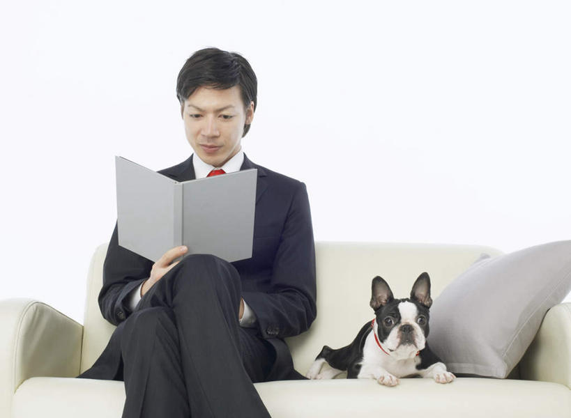 东方人,一个人,商务人士,商务男性,坐,笑,微笑,横图,室内,白天,白色背景,正面,衬衫,靠垫,沙发,宠物,狗,亚洲,仅一个男性,仅一个人,握,套装,斗牛犬,材料,档案,文件,纸,靠枕,领带,二郎腿,拿,拿着,注视,黄种人,仅一个年轻男性,一只,动物,手稿,资料,垫子,枕头,观察,看,可爱,握着,摄影,影棚,观看,证明,察看,象征,庄重,关注,文档,牛头犬,商务装,身份,布艺沙发,工薪阶层,忠诚,英国斗牛犬,正式,地位,斗牛狗,老虎狗,英国老虎犬,男人,男性,年轻男性,亚洲人,白领,上班族,犬,坐着,半身,彩图,影棚拍摄,衬衣,拍摄
